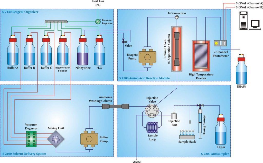 Sykam S 433 Amino Acid Analyzer - Flowscheme