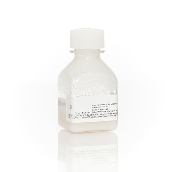 BioToolomics Bottle 25ml, Square